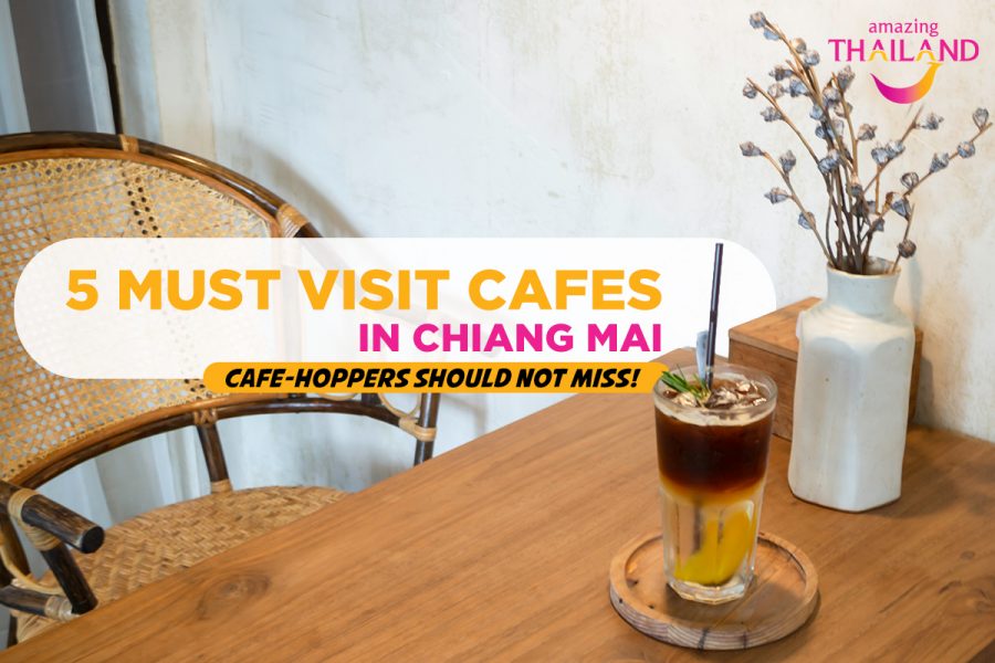must-visit-cafes-in-chiang-mai