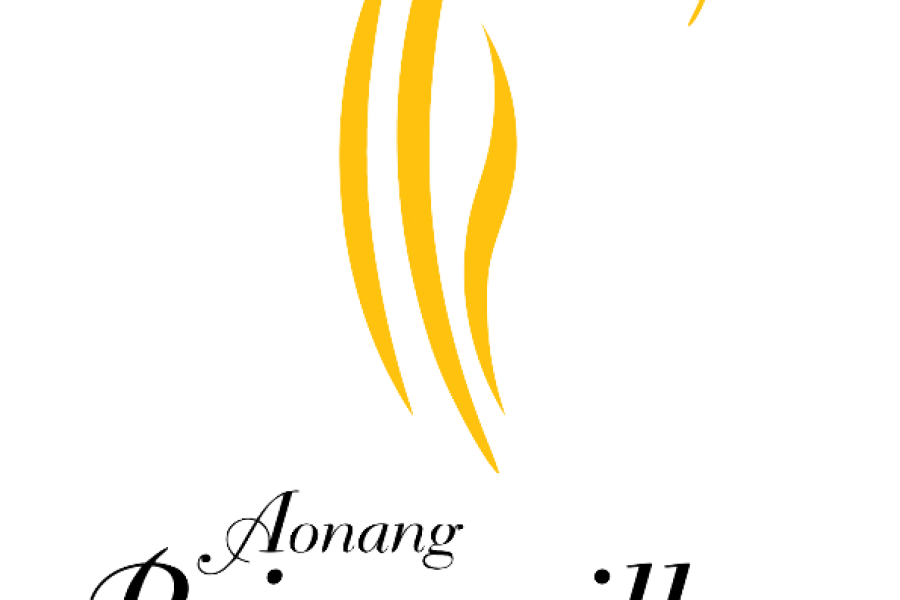 Logo-Princeville-resort-&-Spa copy 2